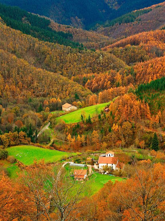 Hostal Jai Alai Leitza  Buitenkant foto